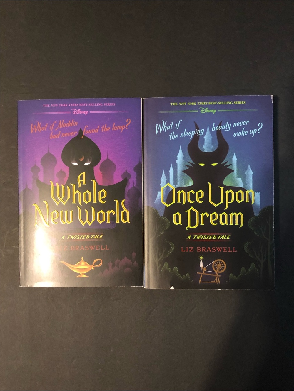 A Whole New World/ Once Upon a Dream a Twisted Tale -G